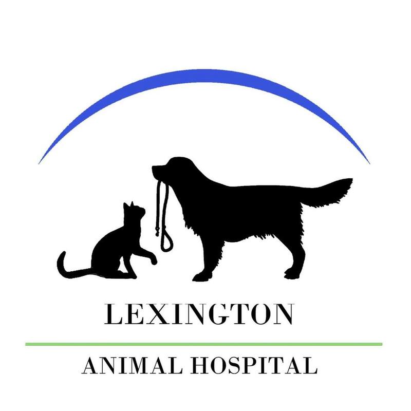 Lexington Animal Hospital